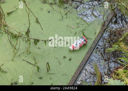 Bottiglia vuota di plastica per bevande analcoliche che galleggia in acqua stagnante del fosso di drenaggio coperta in anatrockweed verde. Marchio non identificato quindi RM. Riflessioni in acqua Foto Stock