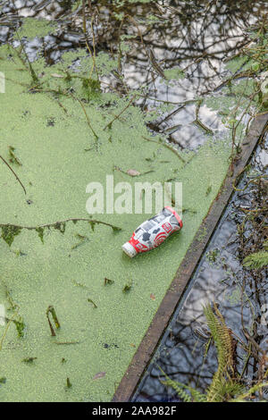 Bottiglia vuota di plastica per bevande analcoliche che galleggia in acqua stagnante del fosso di drenaggio coperta in anatrockweed verde. Marchio non identificato quindi RM. Riflessioni in acqua Foto Stock