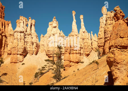 Vista su Bryce Canyon dello Utah, Stati Uniti d'America Foto Stock