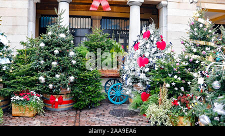 Alberi di Natale al Covent Garden di Londra. Foto Stock