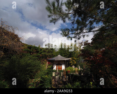 Caduta delle Foglie e colori al Jojakko-ji il tempio di Arashiyama, Kyoto, Giappone. Foto Stock