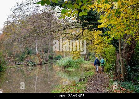 Il fiume Wey navigazione a Byfleet con due escursionisti sulla strada alzaia in un colorato autunno il giorno Surrey in Inghilterra REGNO UNITO Foto Stock