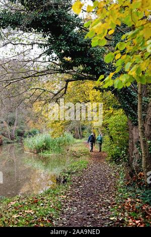 Il fiume Wey navigazione a Byfleet con due escursionisti sulla strada alzaia in un colorato autunno il giorno Surrey in Inghilterra REGNO UNITO Foto Stock