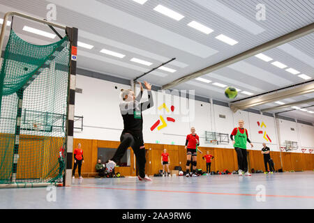 Baden Baden, Germania. Xx Nov, 2019. Pallamano nazionale femminile in Germania, formazione. Pallamano nazionale player Dina Eckerle (l) difende l'obiettivo. Credito: Philipp von Ditfurth/dpa/Alamy Live News Foto Stock