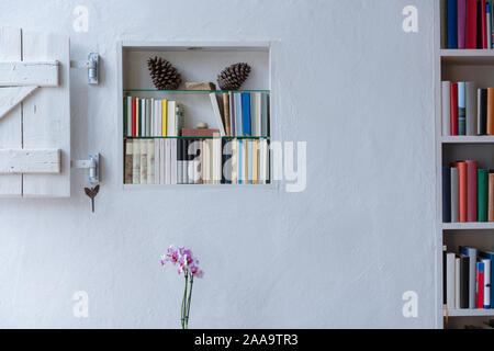 Librerie in una parete bianca, con un bel decor e orchidee Foto Stock