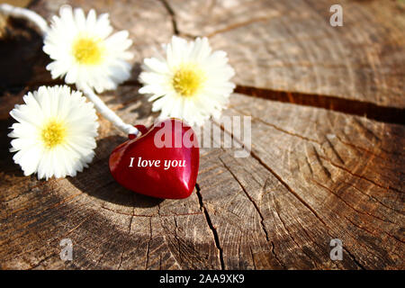 La foto mostra cuore rosso e fiori sul terreno in legno Foto Stock