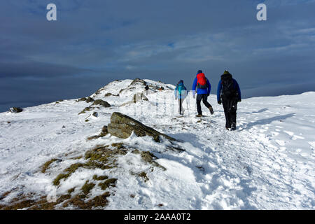 Hillwalkers vicino al vertice di Ben Ledi, vicino a Callander, Stirlingshire, Scozia Foto Stock