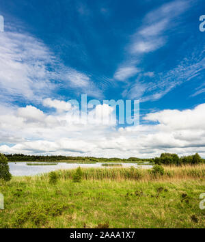 Zona umida lago a Lough Boora, nella contea di Offaly, Irlanda Foto Stock