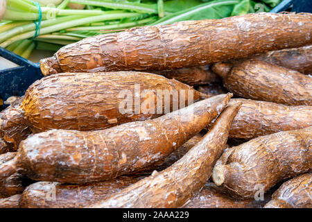 Appena raccolto organico radici di manioca in un mercato. Cibo sano. Foto Stock