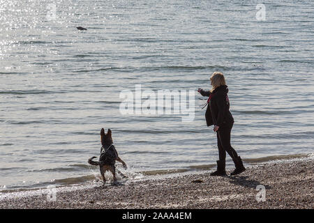 Un pastore tedesco cane schizzi in mare durante la riproduzione di fetch con il suo proprietario in spiaggia. Foto Stock