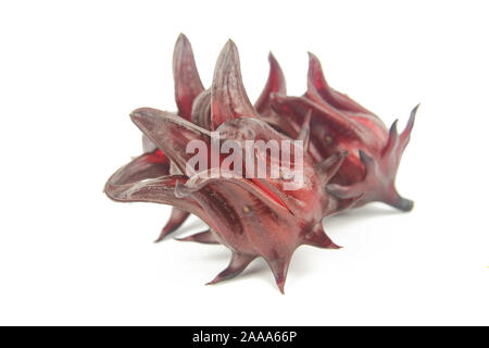 Roselle, giamaicano Sorelor o Hibiscus sabdariffa isolato su sfondo bianco con tracciato di ritaglio Foto Stock