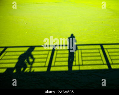 Le ombre dei pedoni che riflette in un fiume ricoperte di alghe Foto Stock