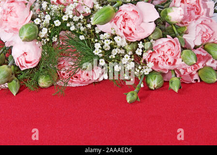 Mazzo di rosa fiori di garofano con il bimbo di respiro formano un confine con copia spazio sul rosso tessuto a trama dello sfondo. Foto Stock