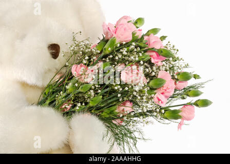 Generico ripiene bianco orsacchiotto è in possesso di un mazzo di fiori di rosa fiori di garofano. Lo sfondo è bianco isolato. Foto Stock