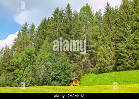 Log Cabin nella foresta di conifere Foto Stock