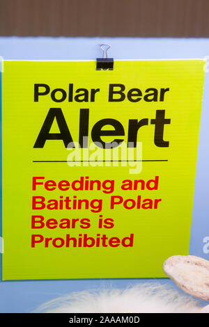 Orso polare in segno di allarme spia di alimentazione spenta e il tasso di adescamento. Foto Stock