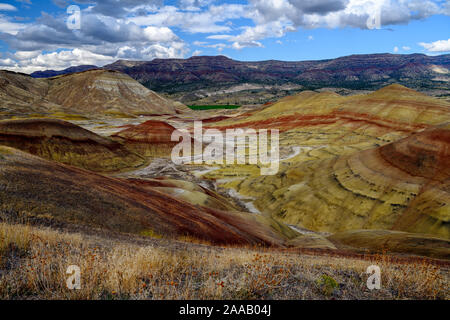 Colline dipinte di unità - John Day Fossil Beds National Monument, Oregon, Stati Uniti d'America Foto Stock