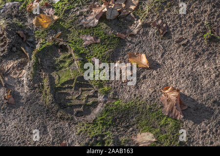 Unico avvio stampa scarpa / Stampa / footprint su terreni fangosi rural / paese via. Metafora per le cattive condizioni del tempo o periodo invernale stagione autunnale, 'stick nel fango" Foto Stock