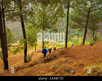 Scendendo lungo la collina ripida al villaggio Sanouli cercando il luogo dove Jim Corbett shot il maneating Panar leopard, Uttarakhand, India Foto Stock