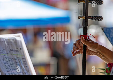 Uomo che suona uno strumento cinese erhu stringed ad un concerto all'aperto a Calgary Alberta Canada Foto Stock