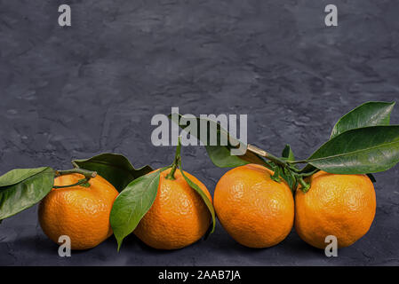 Orange quattro mandarini con foglia contro uno sfondo nero Foto Stock