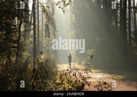 Un uomo che corre attraverso un sentiero forestale in una nebbiosa mattina autunnale. Foto Stock