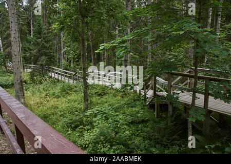 Un vecchio ponte di legno è gettato in un burrone nella foresta. La ringhiera del ponte è anche di legno. Il lago Ladoga, Valaam Island, Carelia, Russia Foto Stock