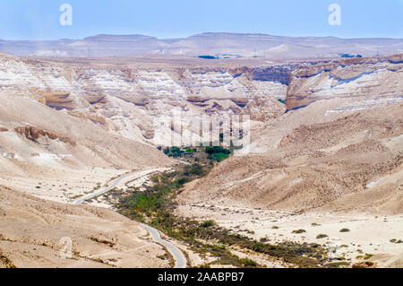 Israele Negev, Kibbutz Sde Boker guardando fuori verso Ein Ovdat e il Wadi Zin valley Foto Stock