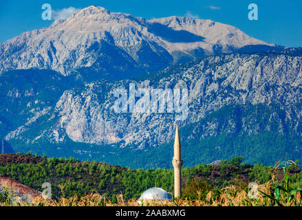 Moschea in un cornfield su uno sfondo di montagne. Turchia, Kirish. Foto Stock