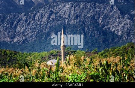 Moschea in un cornfield su uno sfondo di montagne. Turchia, Kirish. Foto Stock