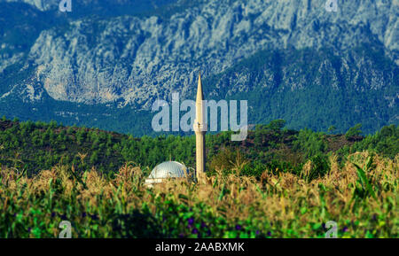 Moschea in un cornfield su uno sfondo di montagne. Turchia, Kirish. Foto Stock