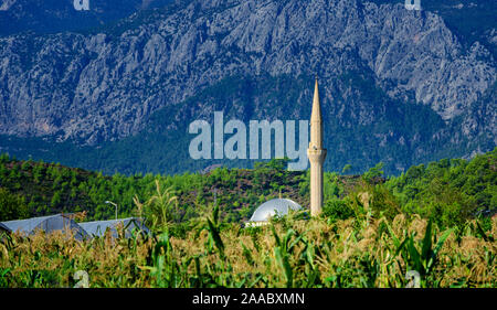 Moschea in un cornfield su uno sfondo di montagne. Turchia, Kirish. Foto Stock