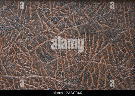 La texture della pelle vera, circa elaborati, marrone scuro con venature di luce. Close-up. Foto Stock