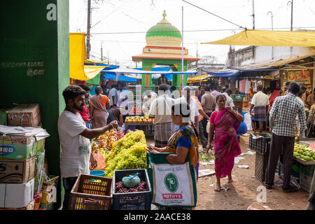 Fornitore di frutta nel mercato di Gandhi in Tiruchirappalli ,Tamil Nadu,l'India . Foto Stock