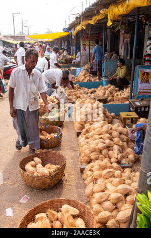 Fila di cocco bancarelle del mercato iat di Gandhi nel mercato Tiruchirappalli ,Tamil Nadu,l'India . Foto Stock