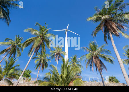 Turbina eolica circondato da alberi di palma, Thailandia Foto Stock