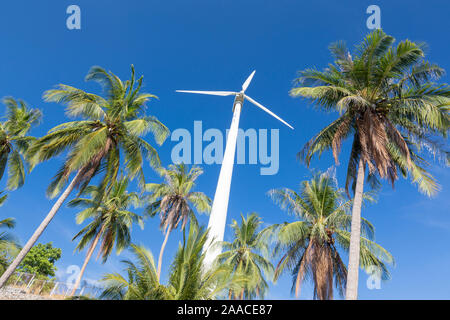 Turbina eolica circondato da alberi di palma, Thailandia Foto Stock