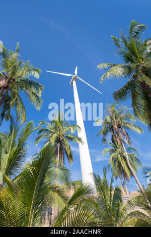 Turbina eolica circondato da alberi di palma, Thailandia Foto Stock