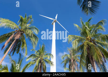 Turbina eolica circondato da alberi di palma, Thailandia Foto Stock