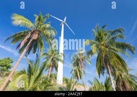 Turbina eolica circondato da alberi di palma, Thailandia Foto Stock