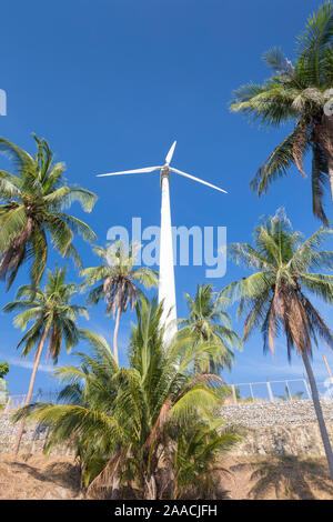 Turbina eolica circondato da alberi di palma, Thailandia Foto Stock