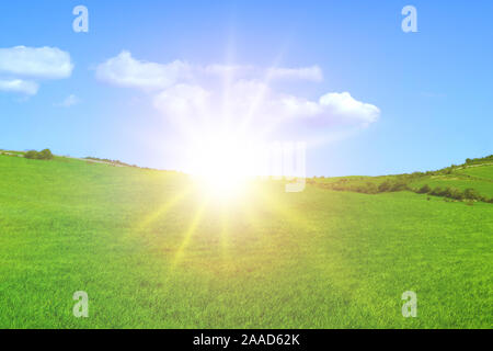Campo con erba verde con sole basso all'orizzonte e belle nuvole nel cielo blu Foto Stock