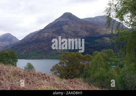 La montagna scozzese Graham Sgorr na Ciche (Pap di Glencoe) dalle sponde del Loch Leven, Highlands scozzesi, Scotland, Regno Unito. Foto Stock