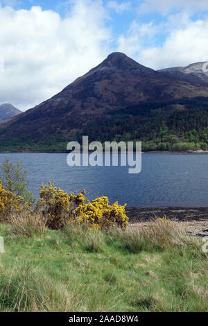 La montagna scozzese Graham Sgorr na Ciche (Pap di Glencoe) dalle sponde del Loch Leven, Highlands scozzesi, Scotland, Regno Unito. Foto Stock