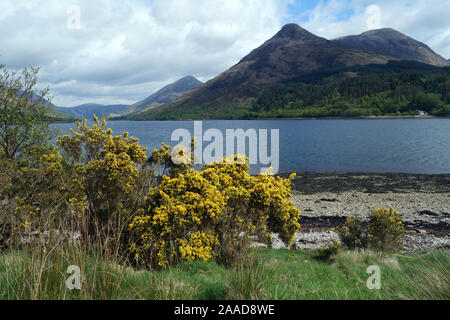 La montagna scozzese Graham Sgorr na Ciche (Pap di Glencoe) dalle sponde del Loch Leven, Highlands scozzesi, Scotland, Regno Unito. Foto Stock