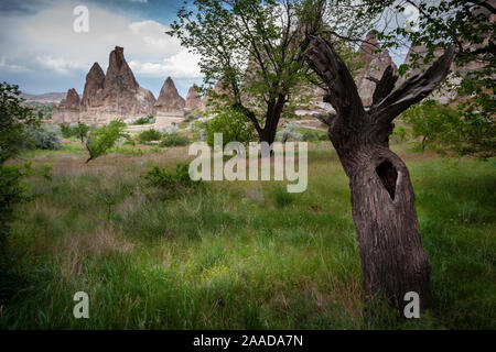 Immagini di cappodocia formazioni rocciose in Turchia Foto Stock