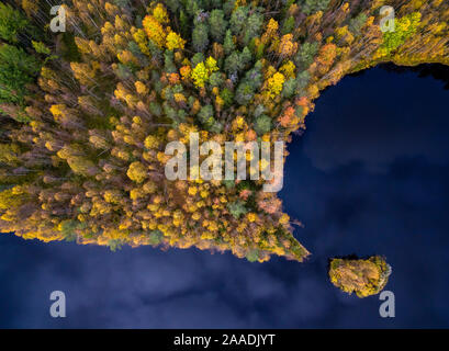 La Taiga forest fotografata da aria, Finlandia, settembre 2016. Highly commended in GDT European Wildlife Photographer of the Year Awards 2017 e menzione onorevole nella bellezza della natura Categoria di Siena International Photography Awards 2017. Foto Stock