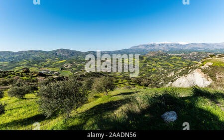 Vista aerea rurale della regione Archanes paesaggio. Unico suggestivo panorama di oliveti, vigneti e prati verdi e colline vista in primavera. Heraklion Foto Stock