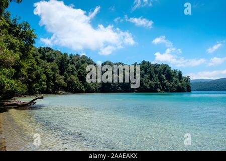 Lago Waikareiti per Te Urewera, Hawkes Bay Regione, Isola del nord, Nuova Zelanda Foto Stock