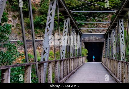 Karangahake Gorge Ricreazione percorso e il tunnel ferroviario sul fiume Ohinemuri, vicino Waihi, Baia di Planty, Isola del nord, Nuova Zelanda Foto Stock